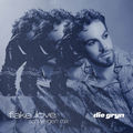Fake Love (Schweigen Mix)
