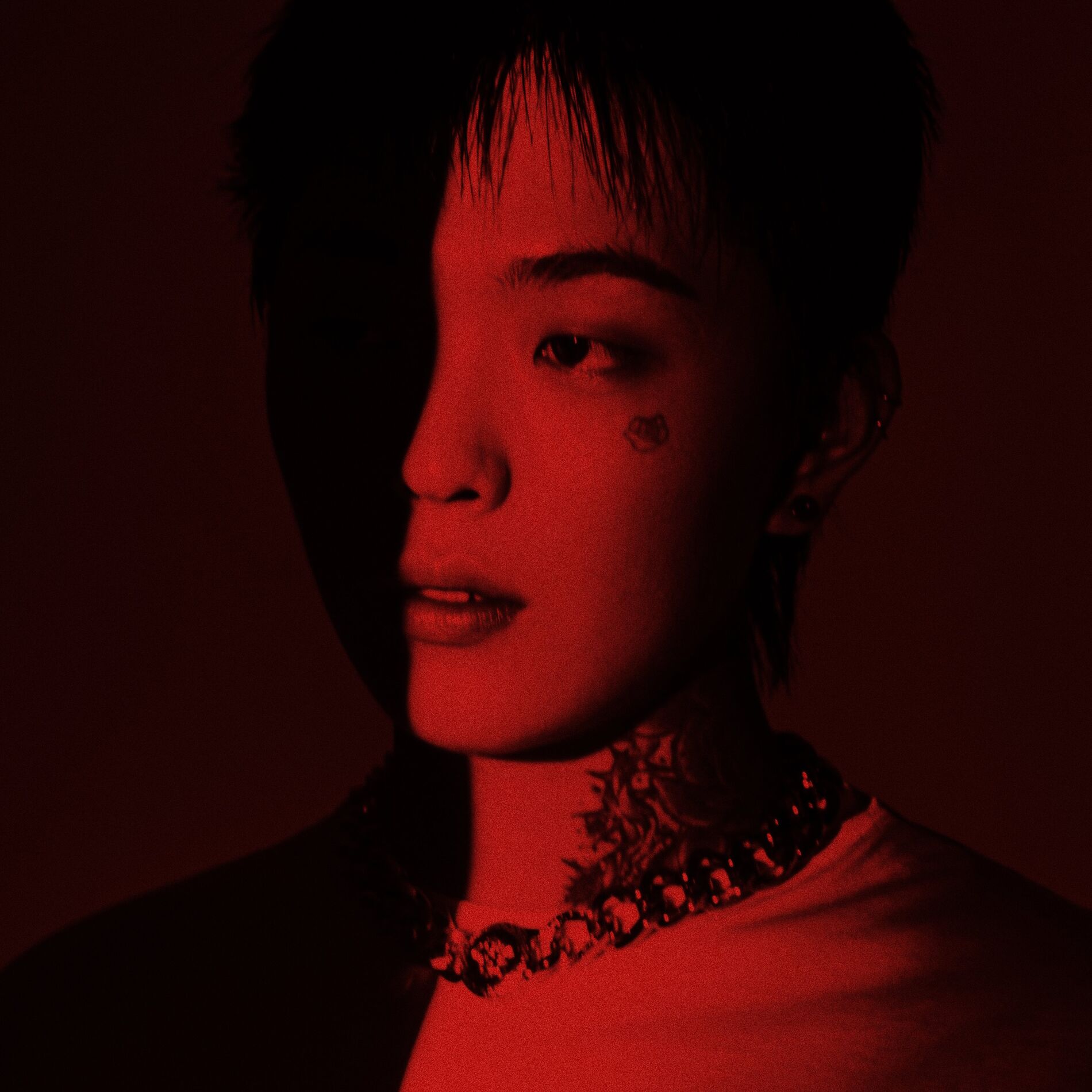 Album cover of DDKD