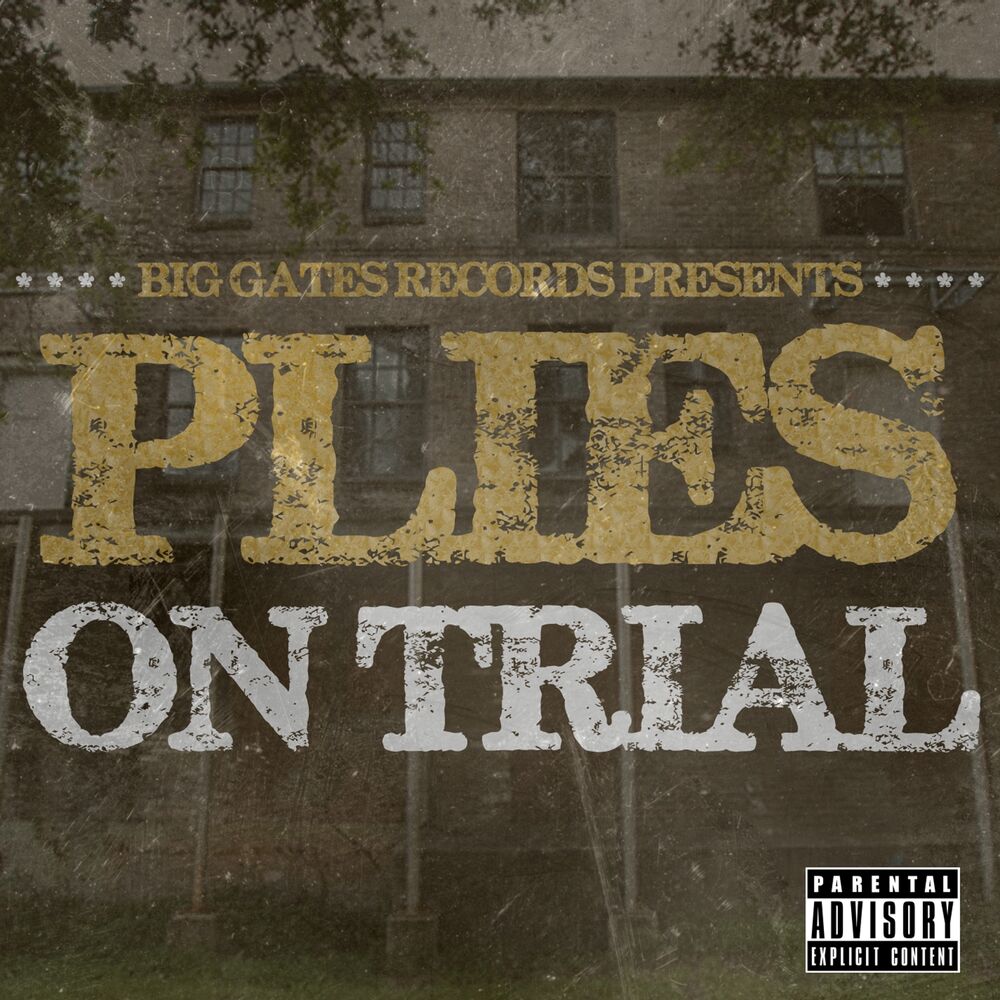 Picture of On Trial