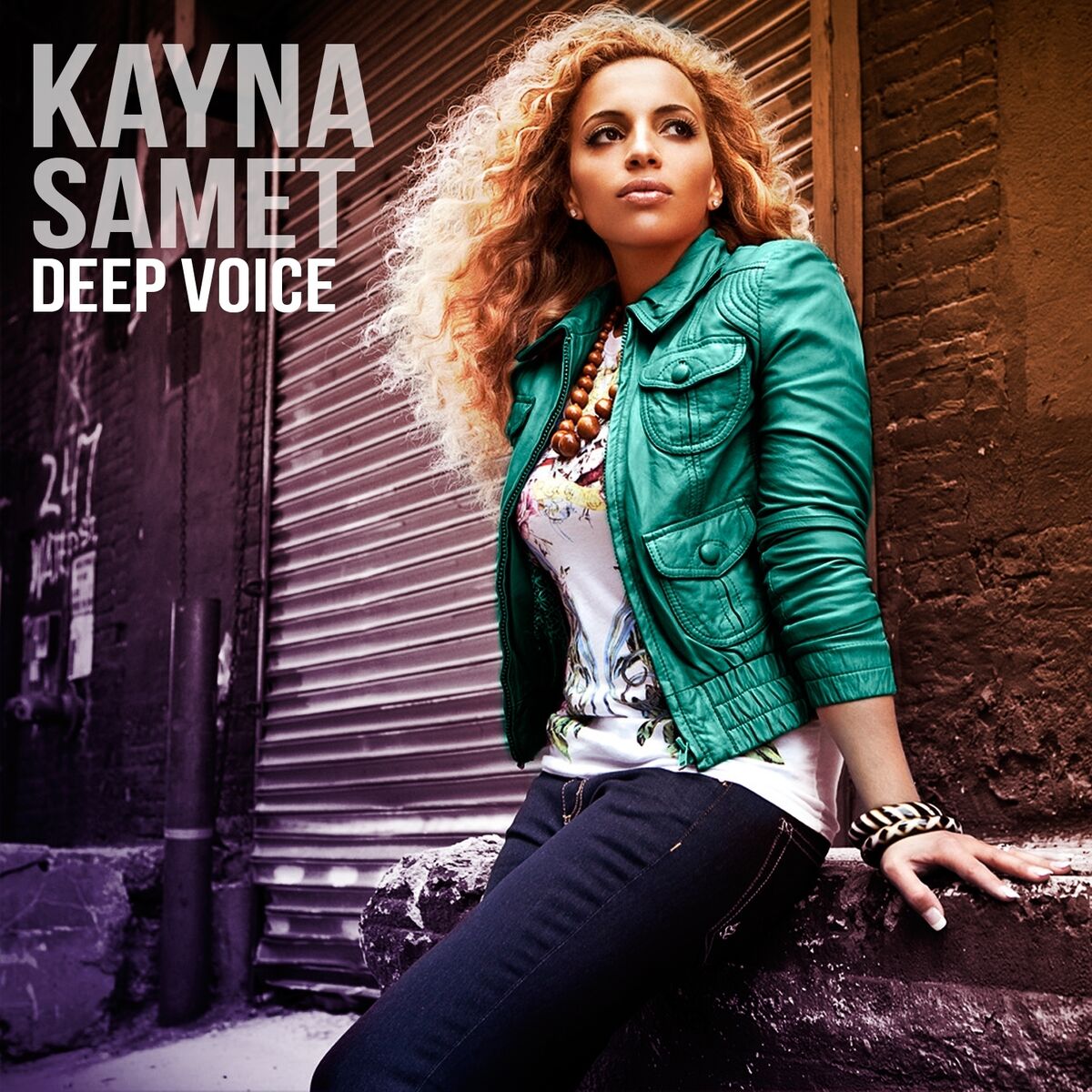 Album cover of Destinée