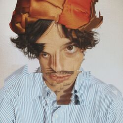 Cover of Definitively Happy