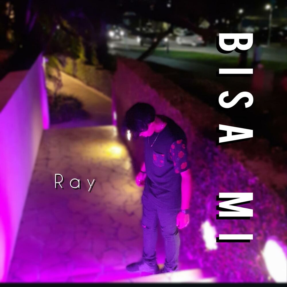 Picture of BISA MI