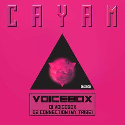 Cover of Voicebox EP