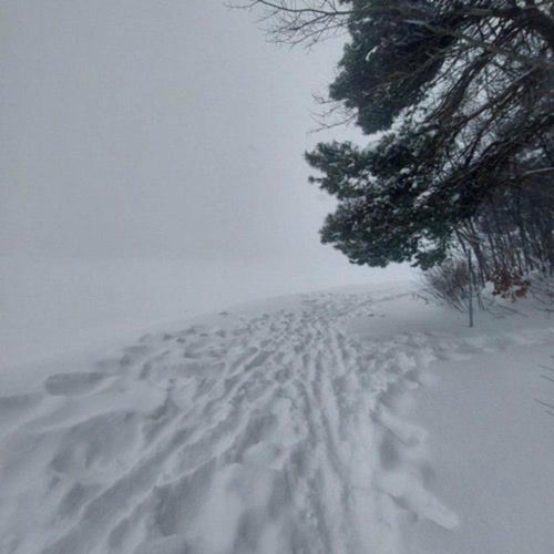 snowing♡ Love snow but driving in it makes me nervous as 💩 : r