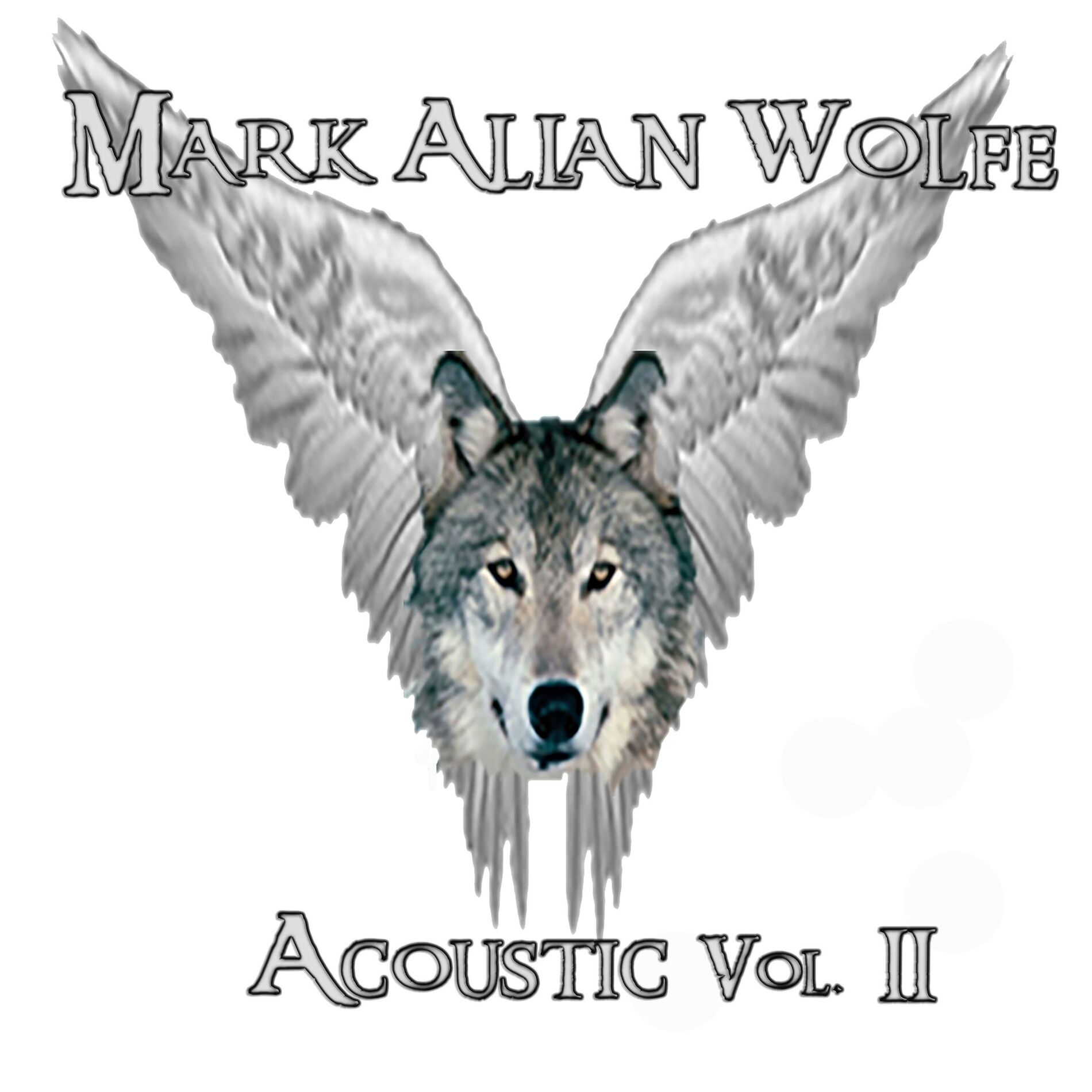 Album cover of Acoustic Vol II