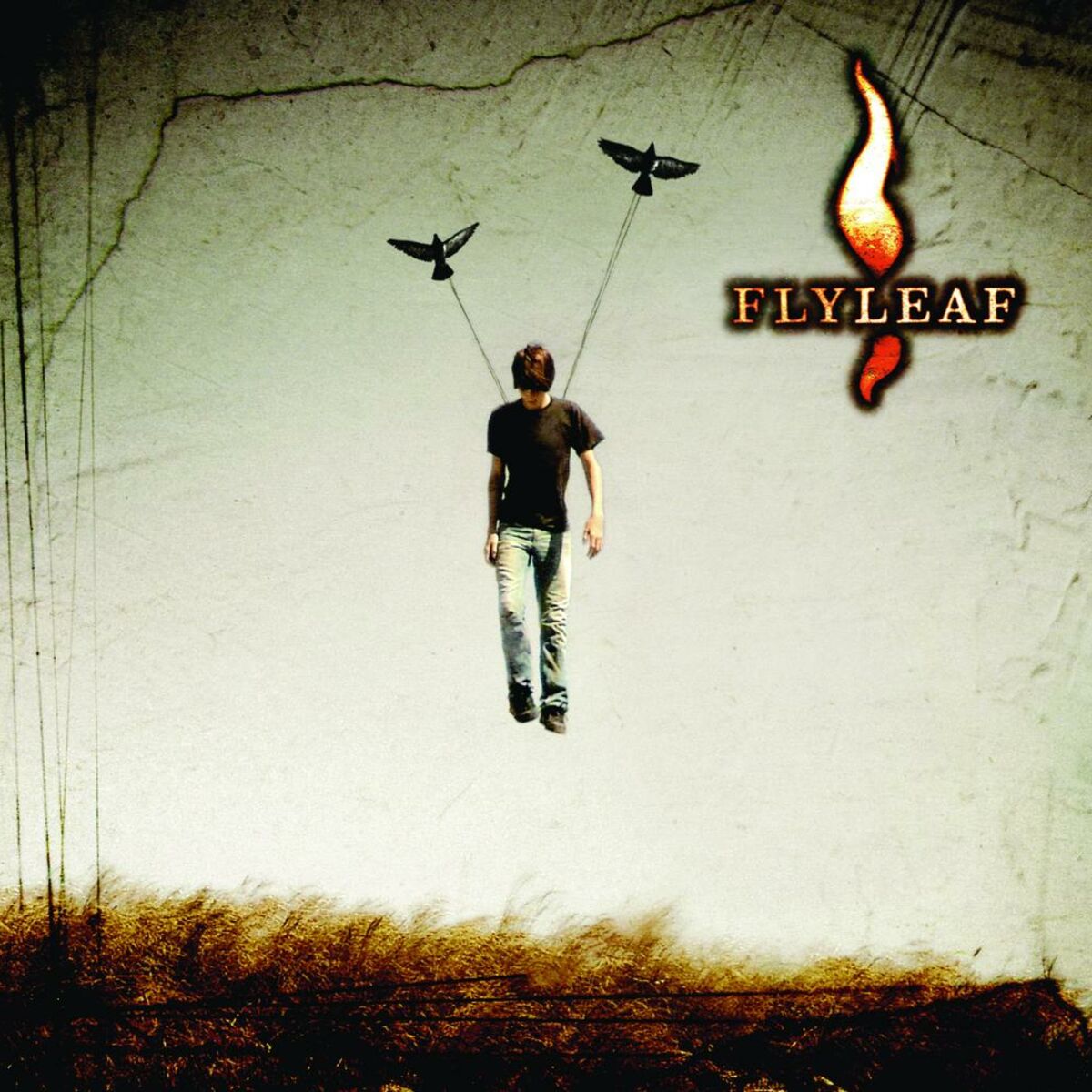 Album cover of Flyleaf