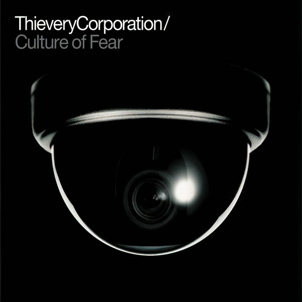 Picture of Culture Of Fear