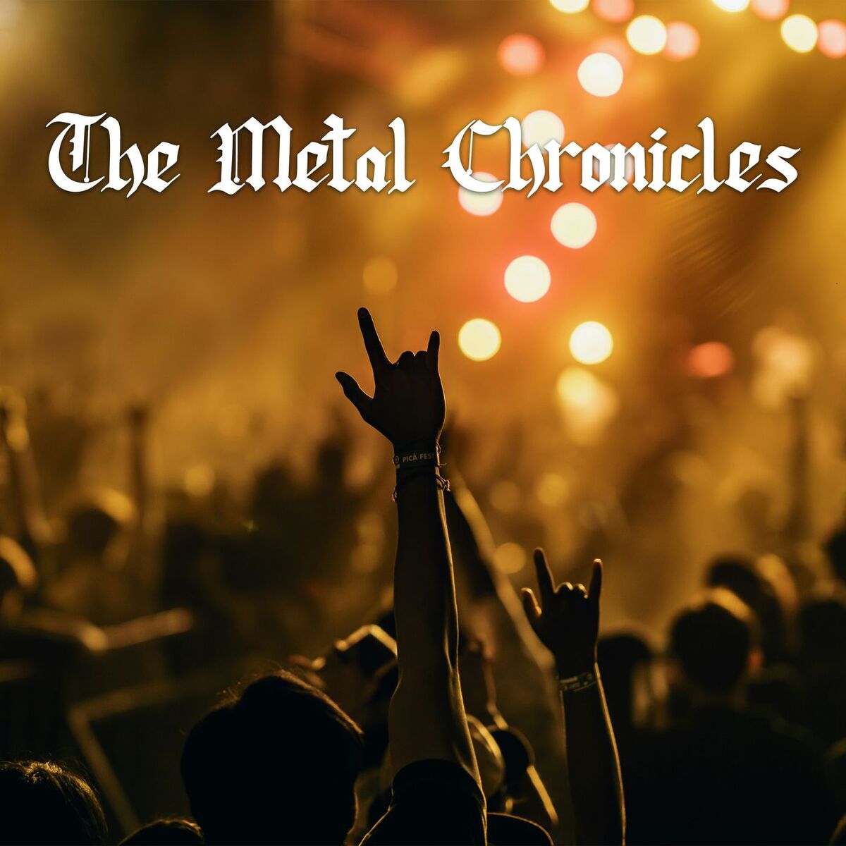 Album cover of The Metal Chronicles