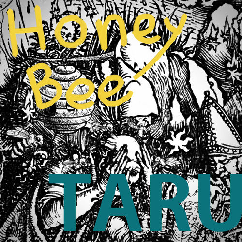 Taru – honey bee – Single