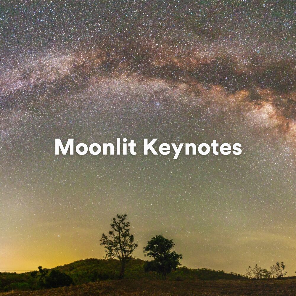 Picture of Moonlit Keynotes (Piano Rain for Sleep)