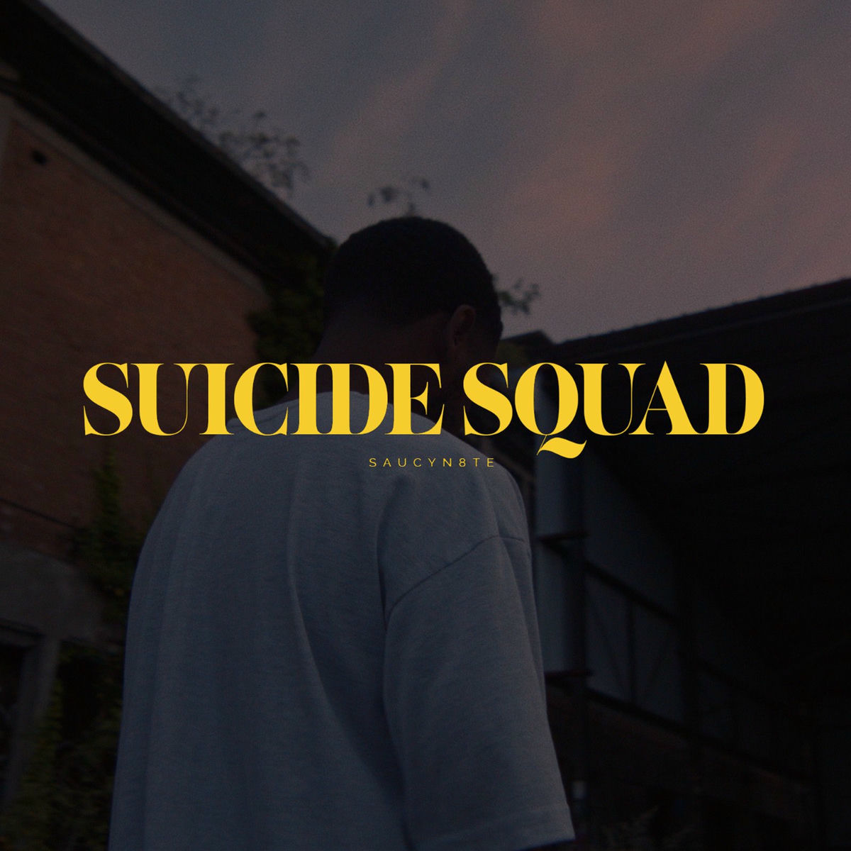 Album cover of Suicide squad