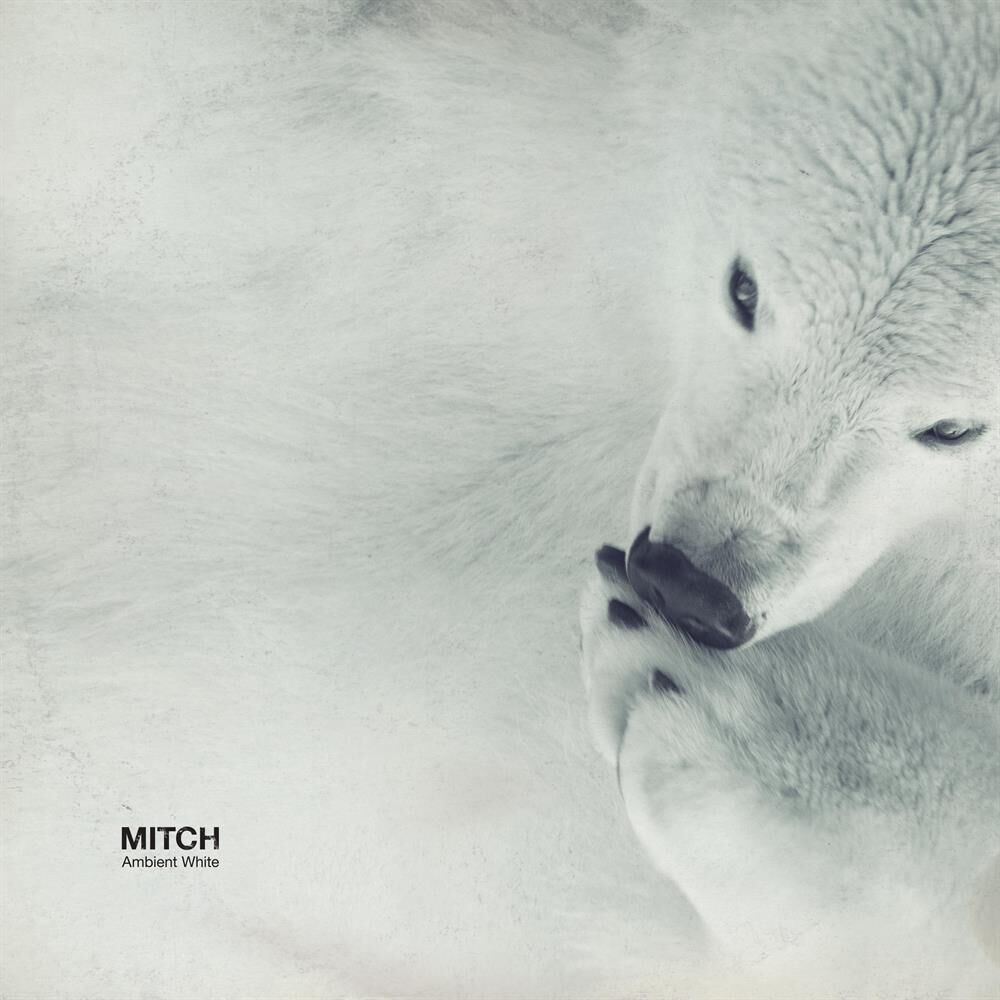 Picture of Ambient White