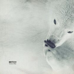 Cover of Ambient White