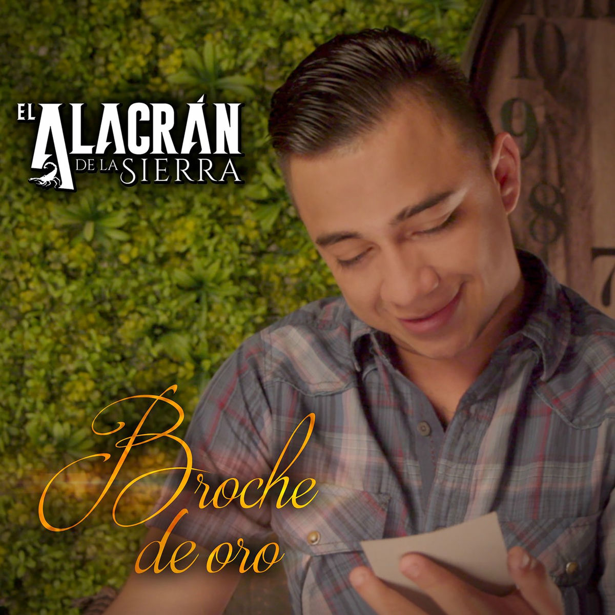 Album cover of Broche De Oro
