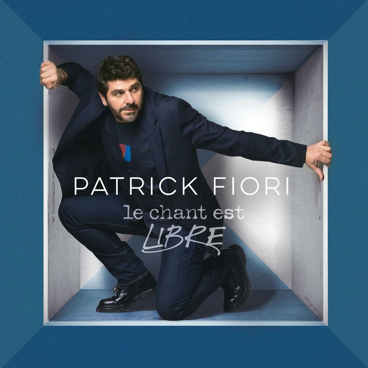 Album cover of L'agréable inutile
