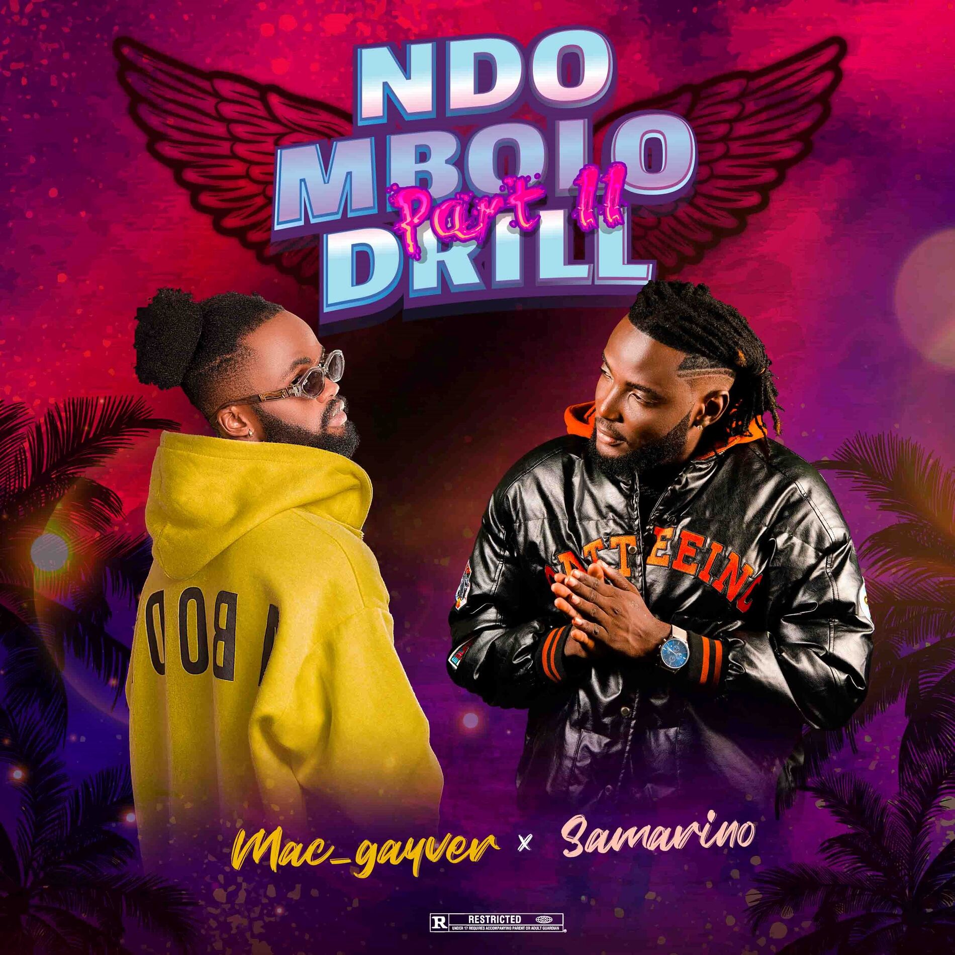 Album cover of Ndo Mbolo Drill, Pt. 2