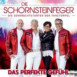 Cover of Das perfekte Gefühl