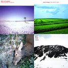 Girls in Hawaii - Discography