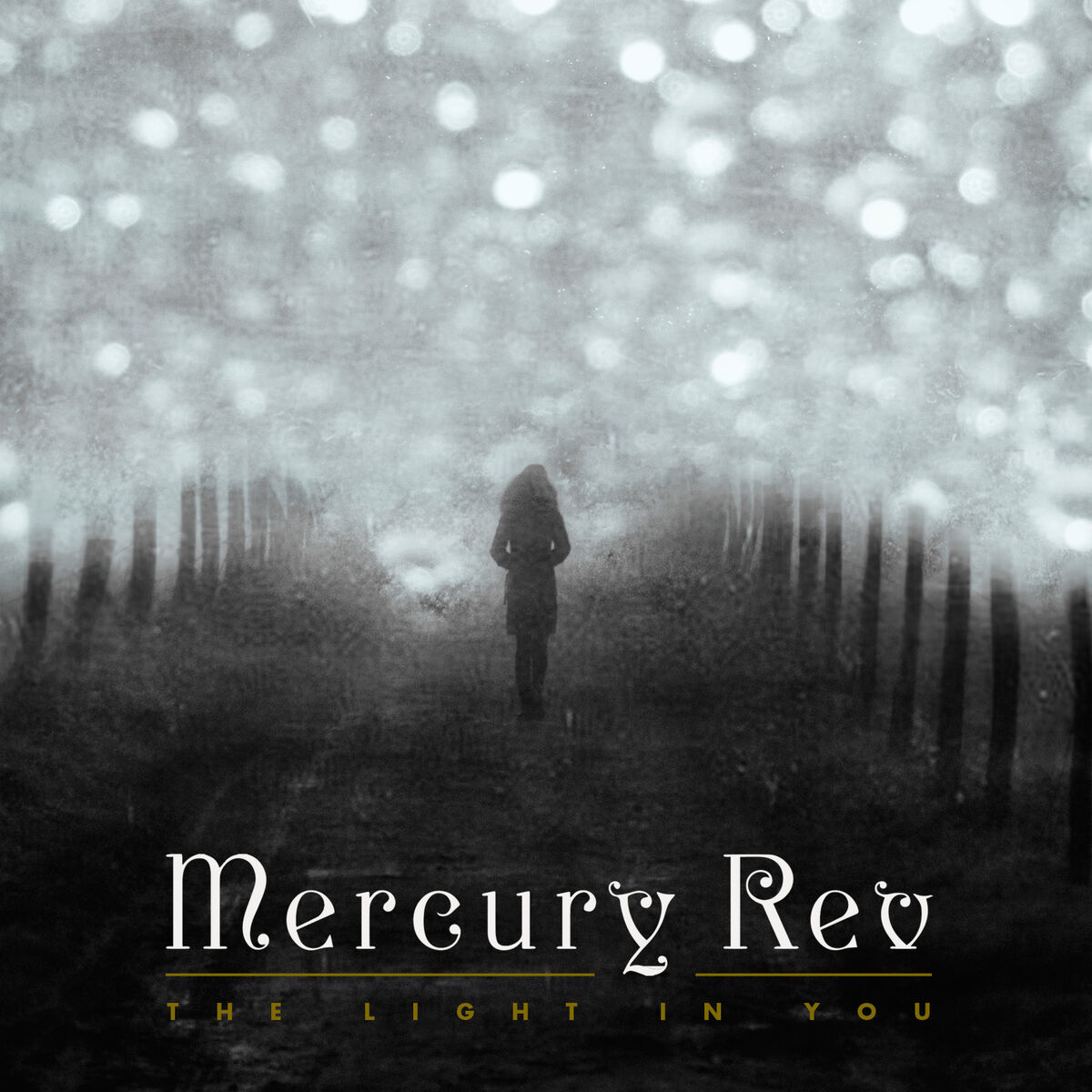 Album cover of The Light in You