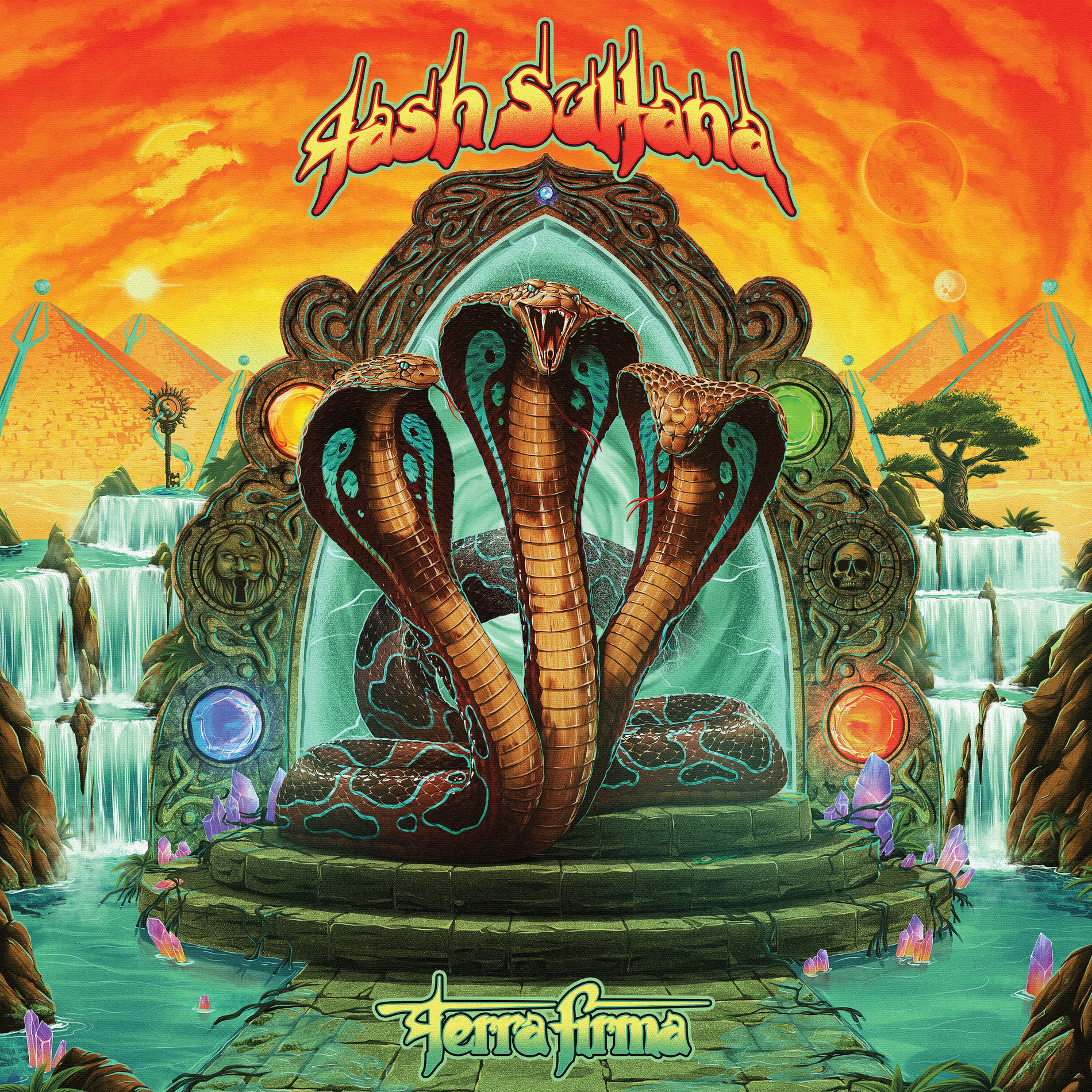Album cover of Terra Firma