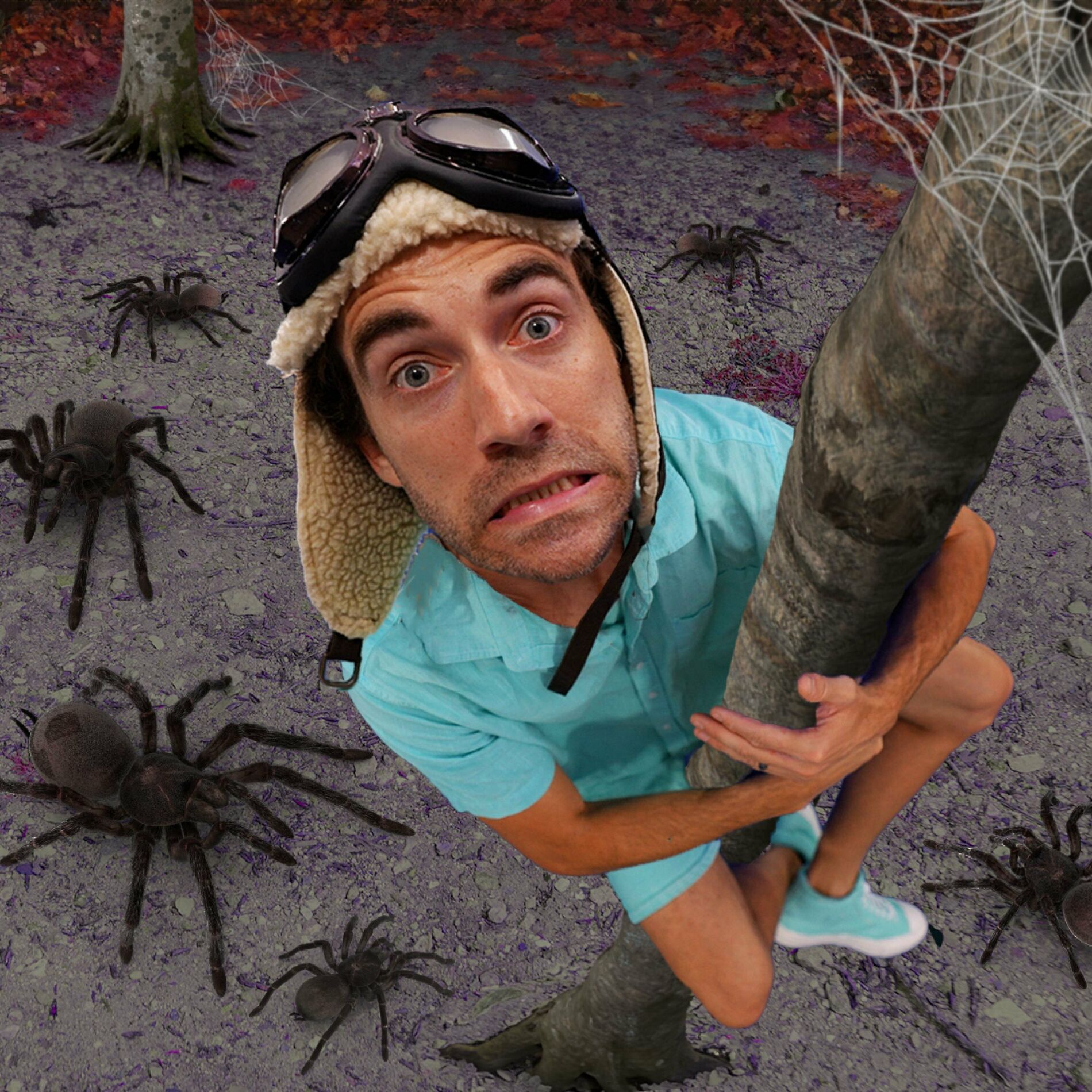 Album cover of The Skeleton Shake