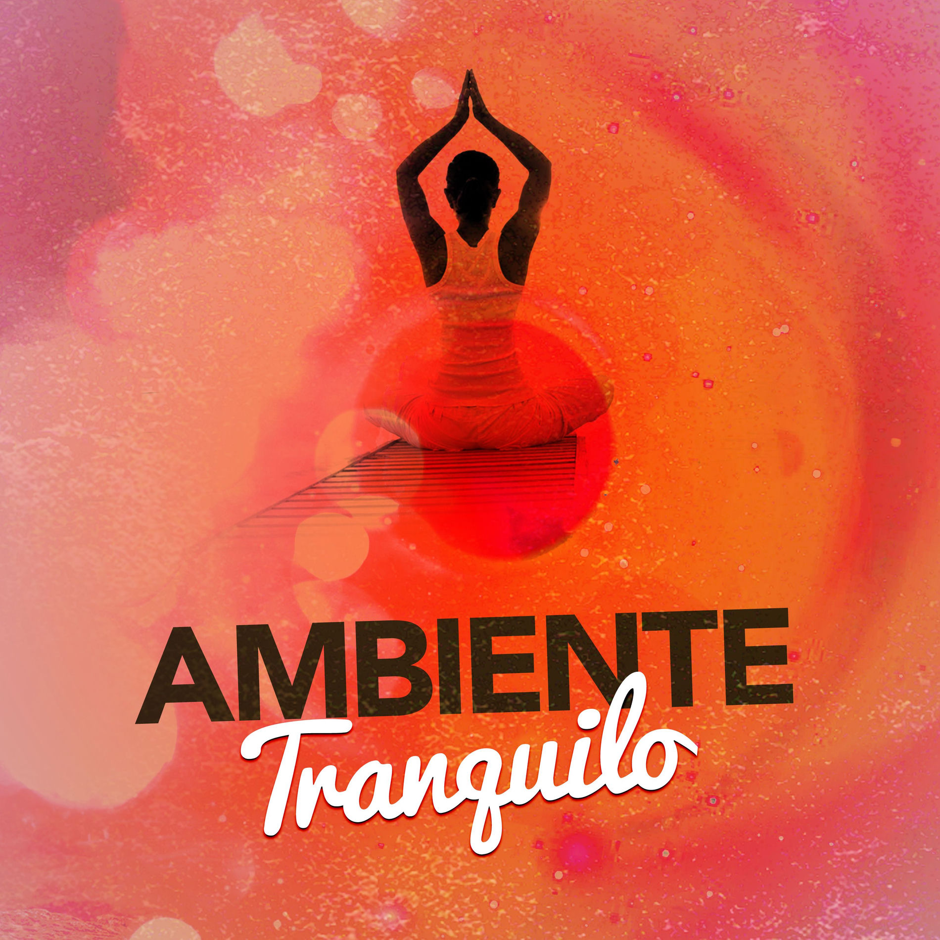 Album cover of Sueño Nocturno