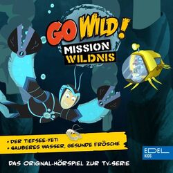 music cover