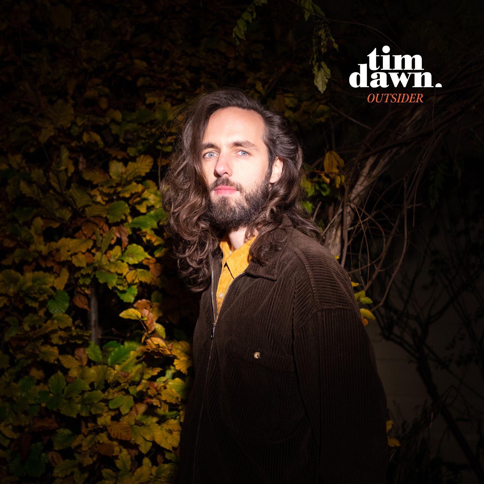 Album cover of Outsider