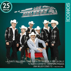Cover of Íconos 25 Éxitos