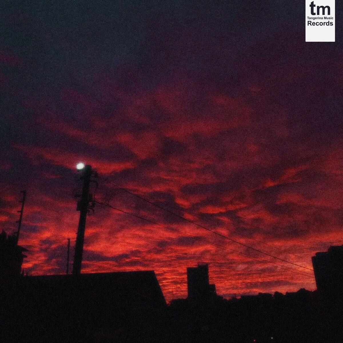 Album cover of about blooming