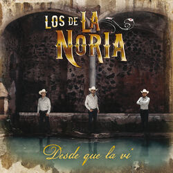 Cover of Desde Que La Vi