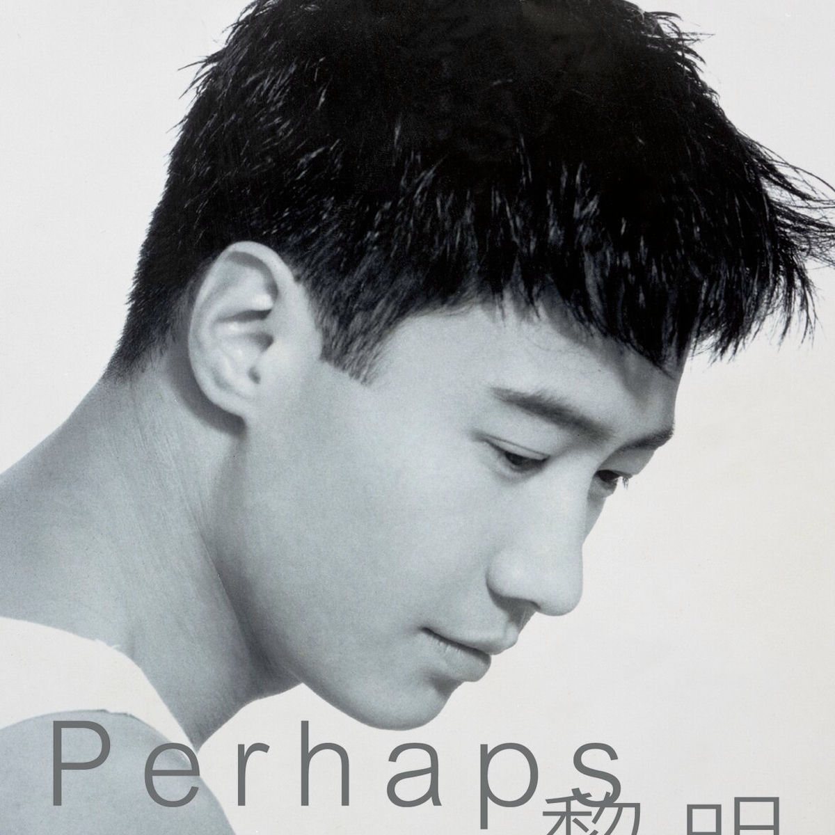 Album cover of 傳奇 - PERHAPS …