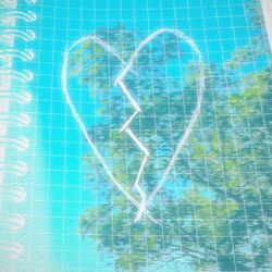 Cover of serce