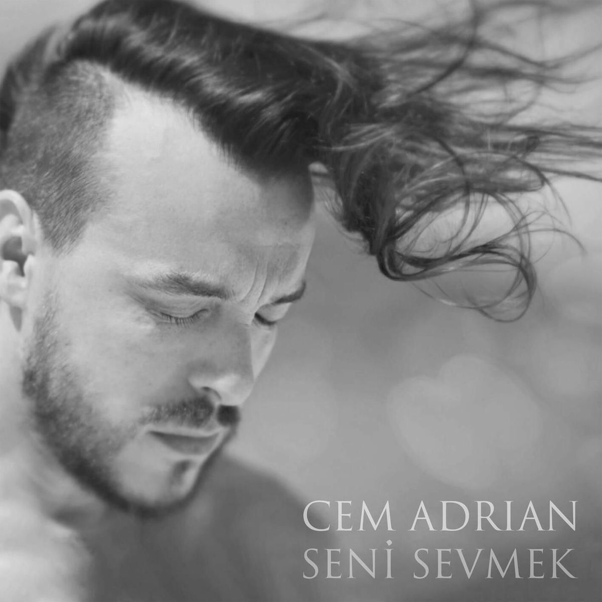 Album cover of Seni Sevmek