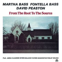 Cover of From The Root To The Source