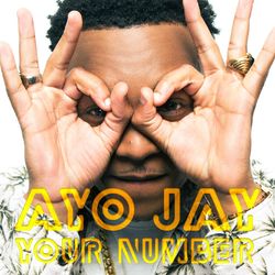 Cover of Your Number