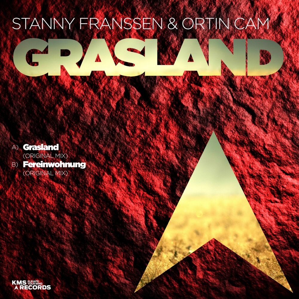 Picture of Grasland