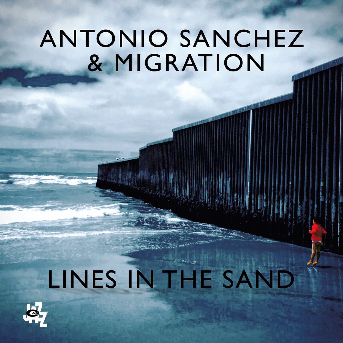 Album cover of Lines In The Sand