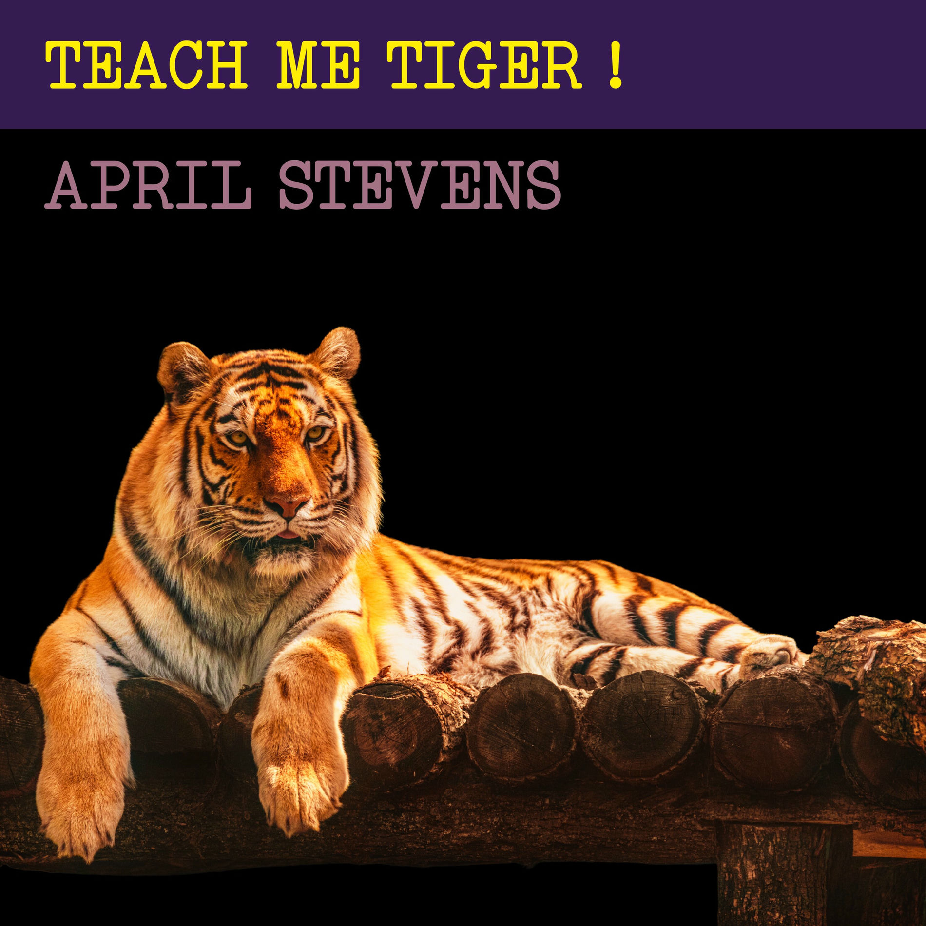 Album cover of Teach Me Tiger