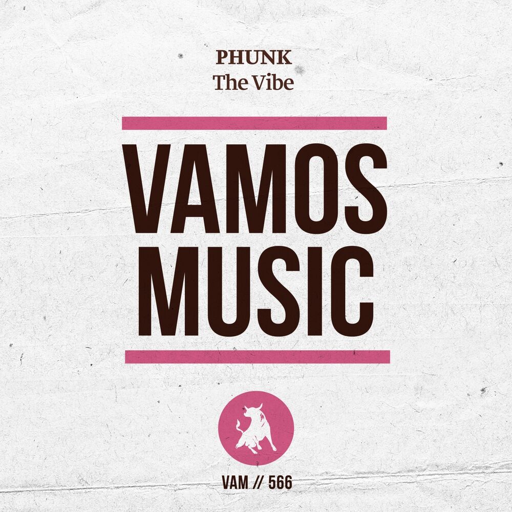 Picture of The Vibe