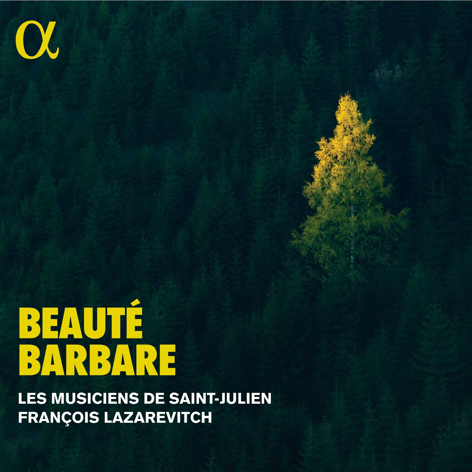 Album cover of Beauté barbare