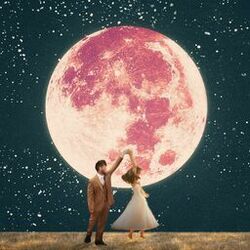 Cover of Ordinary (Wedding Version)