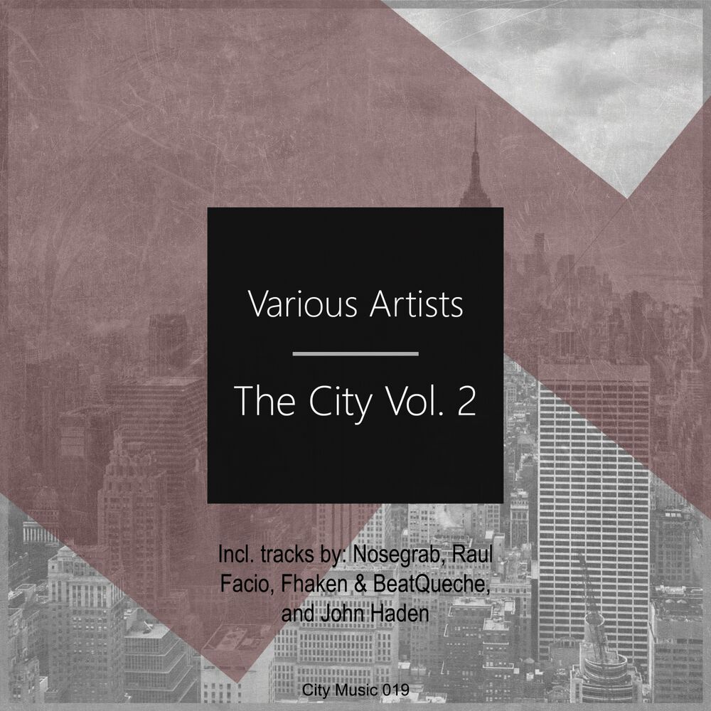 Picture of The City Vol. 2