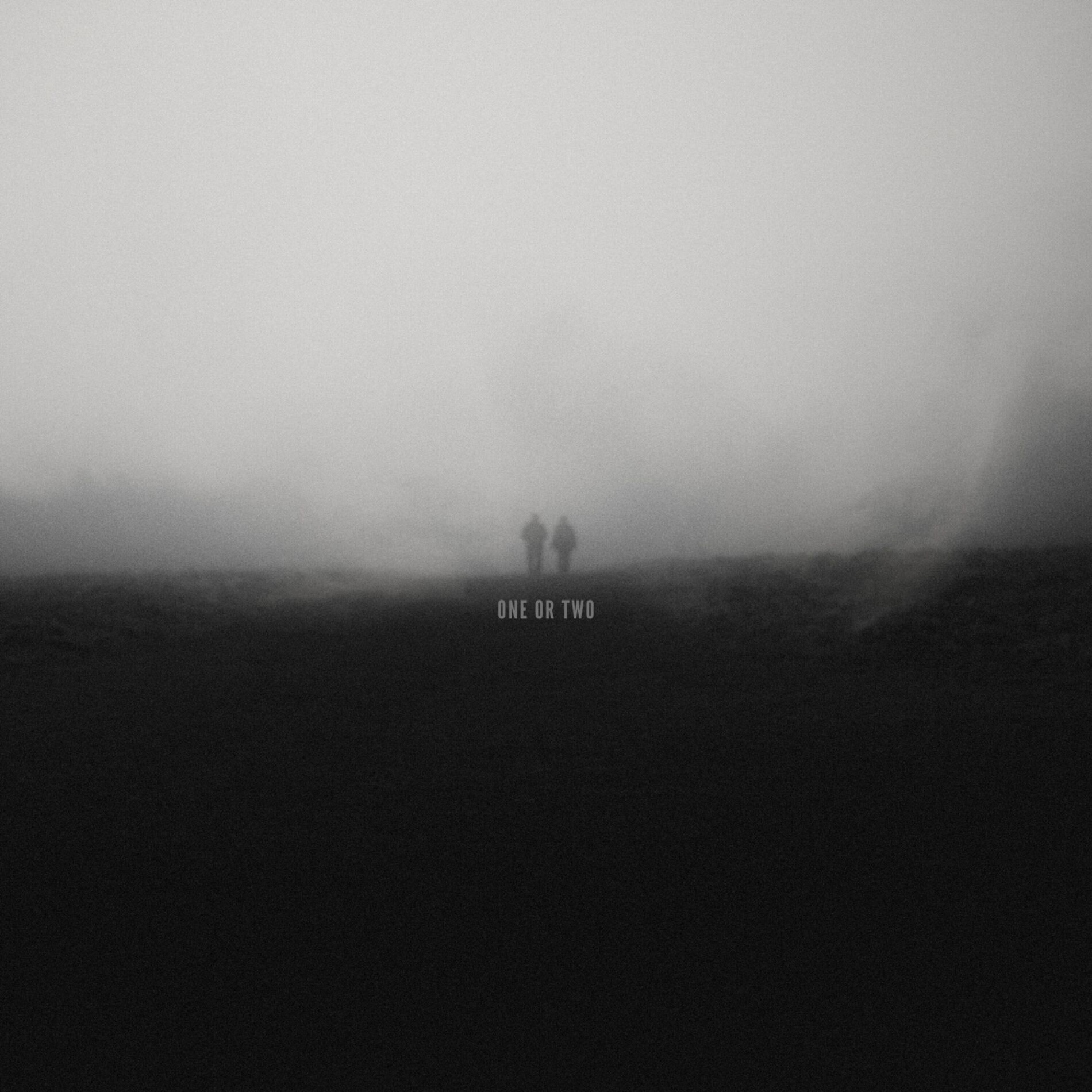 Album cover of ONE OR TWO