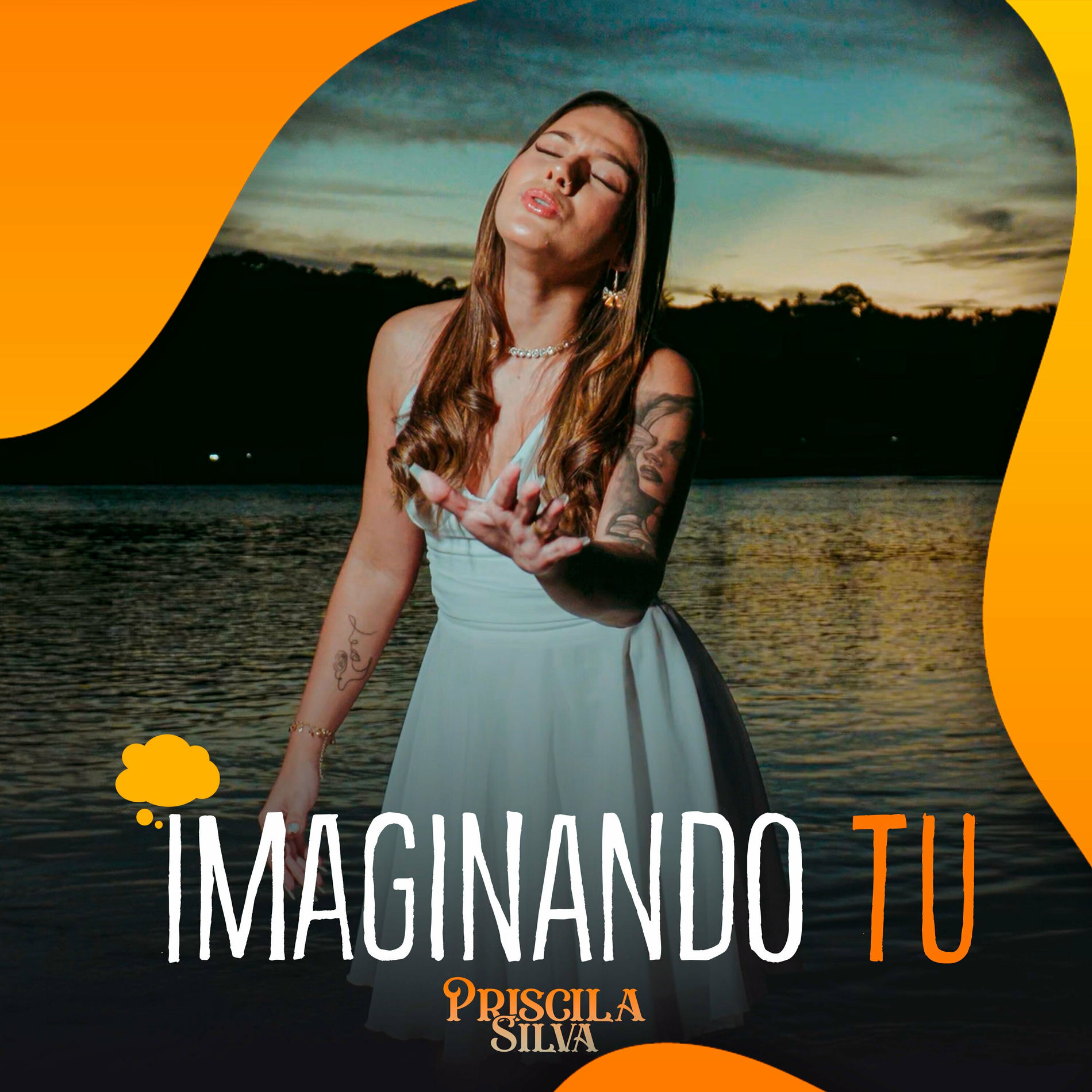Album cover of Imaginando Tu