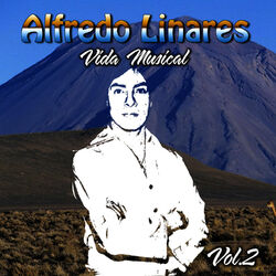 Cover of Vida Musical, Vol. 2
