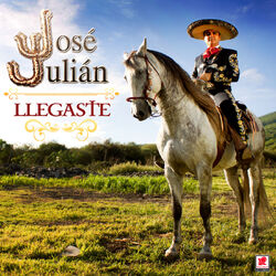Cover of Llegaste