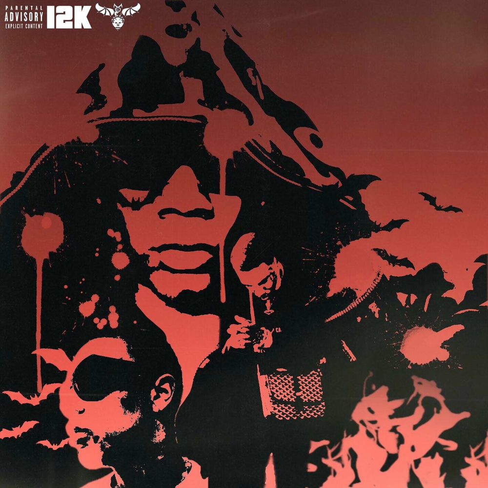 Decoy cover