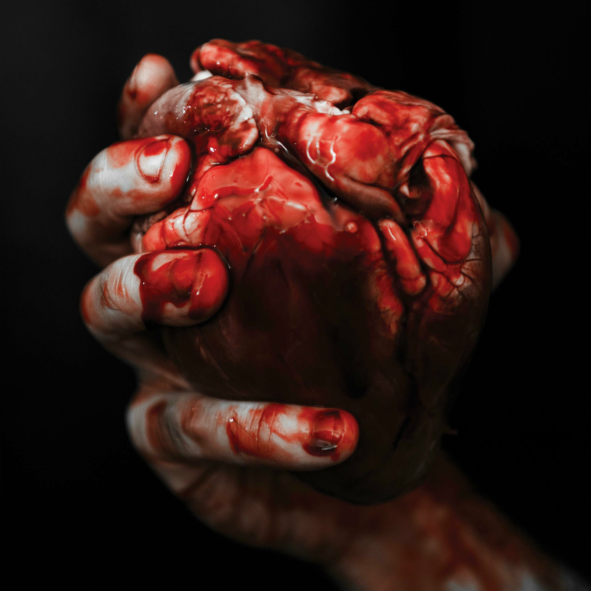 Album cover of We Owe You Nothing