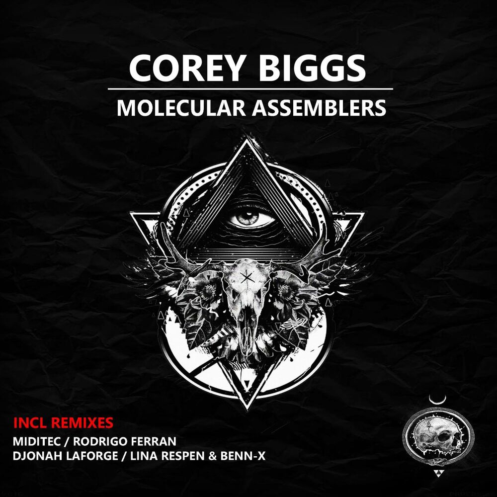 Picture of Molecular Assemblers